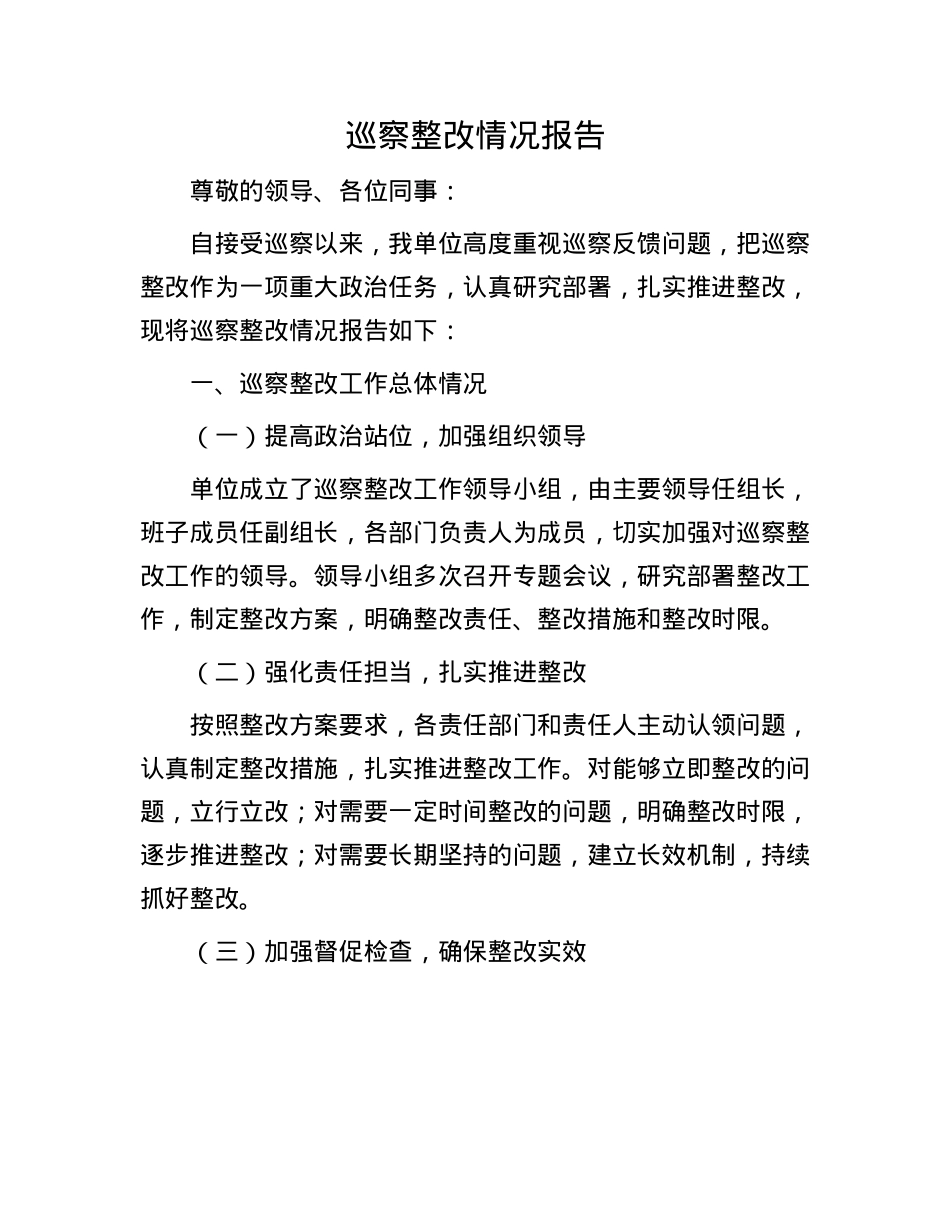 巡察整改情况报告.docx_第1页