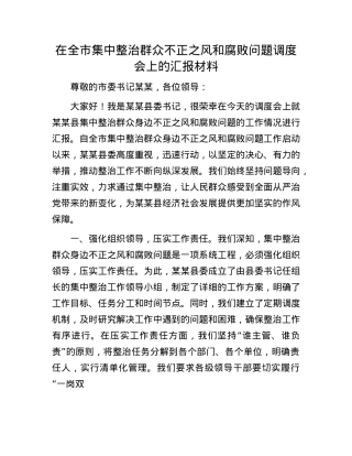 在全市集中整治群众不正之风和腐败问题调度会上的汇报材料(1).docx