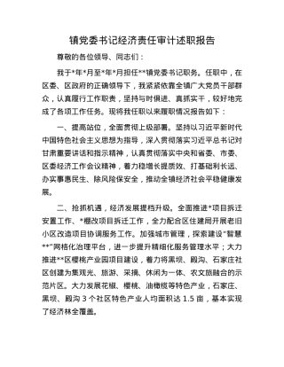 镇X委书记经济责任审计述职报告.docx
