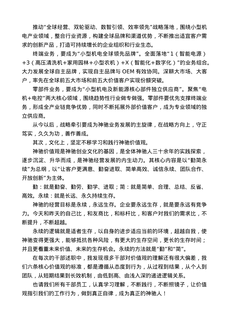 “日新月异”系列№11844神驰机电董事长艾纯：在2024年终总结暨2025干部大会上的致辞.docx_第3页