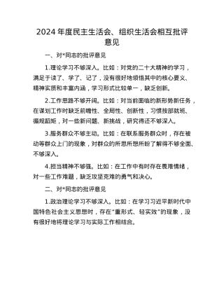 2024年度民主生活会、组织生活会相互批评意见(1).docx