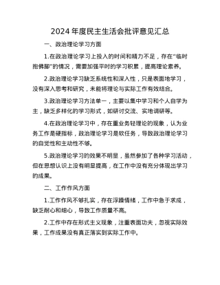 2024年度民主生活会批评意见汇总(1).docx