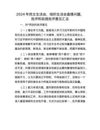 2024年民主生活会、组织生活会查摆问题、批评和自我批评意见汇总(1).docx