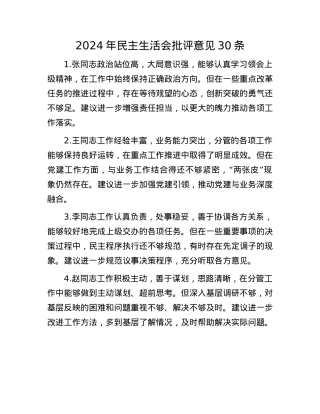 2024年民主生活会批评意见30条(1).docx
