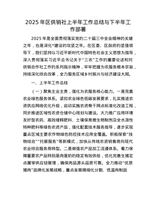2025年区供销社上半年工作总结与下半年工作部署.docx