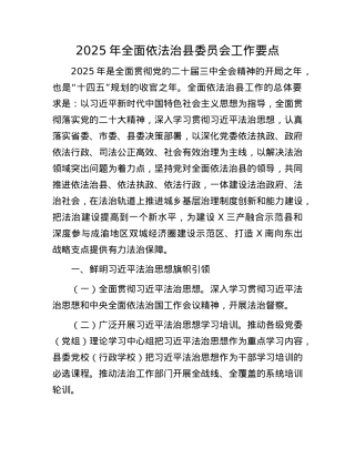 2025年全面依法治县委员会工作要点(1).docx