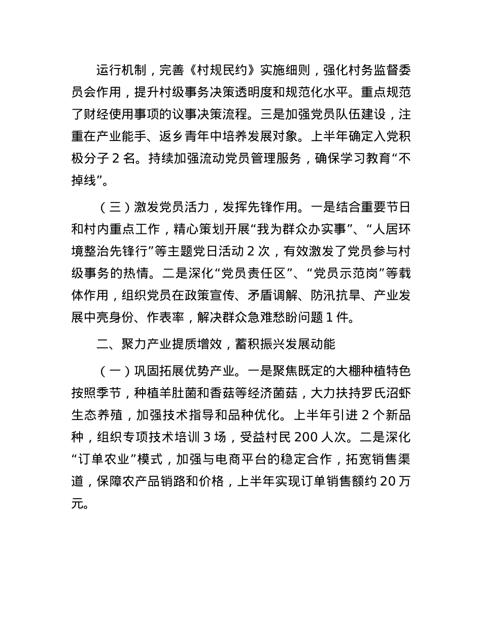 2025年上半年驻村工作总结.docx_第2页