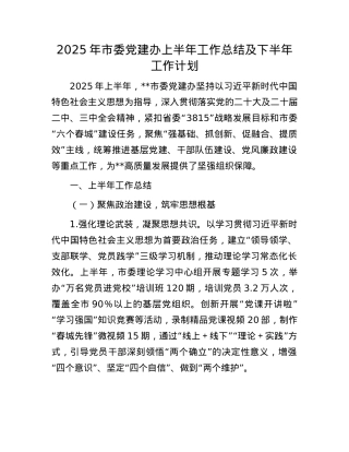 2025年市委X建办上半年工作总结及下半年工作计划.docx