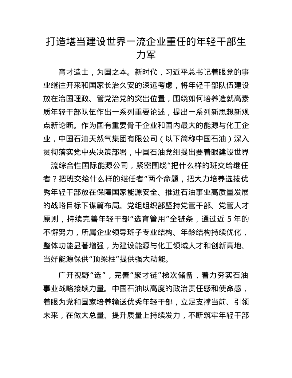 打造堪当建设世界一流企业重任的年轻干部生力军(1).docx_第1页