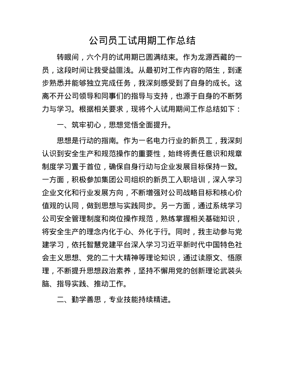 公司员工试用期工作总结(1).docx_第1页