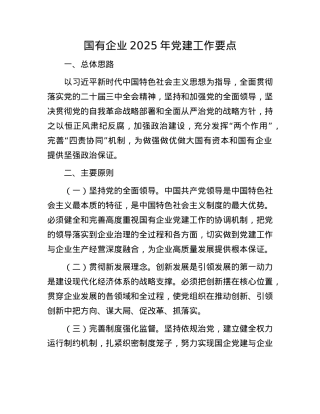 国有企业2025年X建工作要点(1).docx