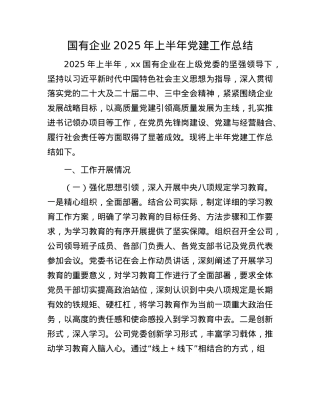 国有企业2025年上半年X建工作总结.docx