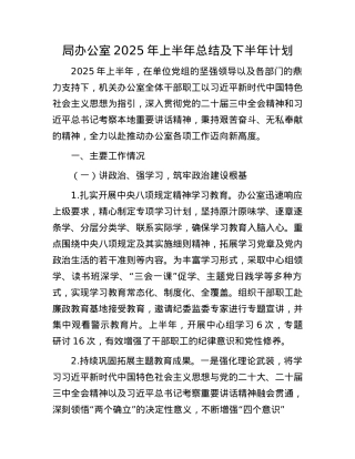 局办公室2025年上半年总结及下半年计划.docx