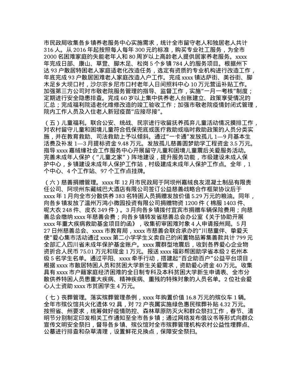 民政事务工作总结.docx_第2页