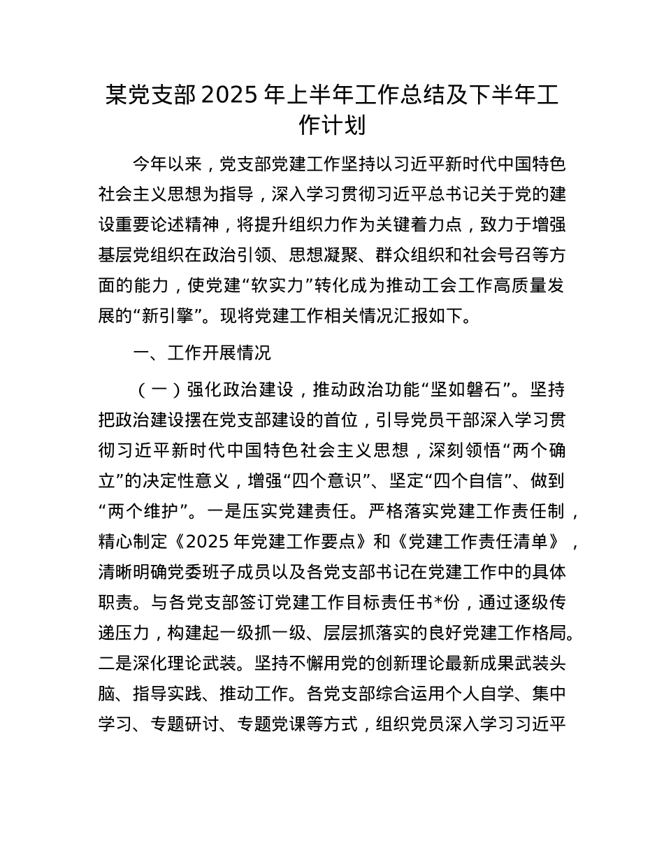 某X支部2025年上半年工作总结及下半年工作计划.docx_第1页