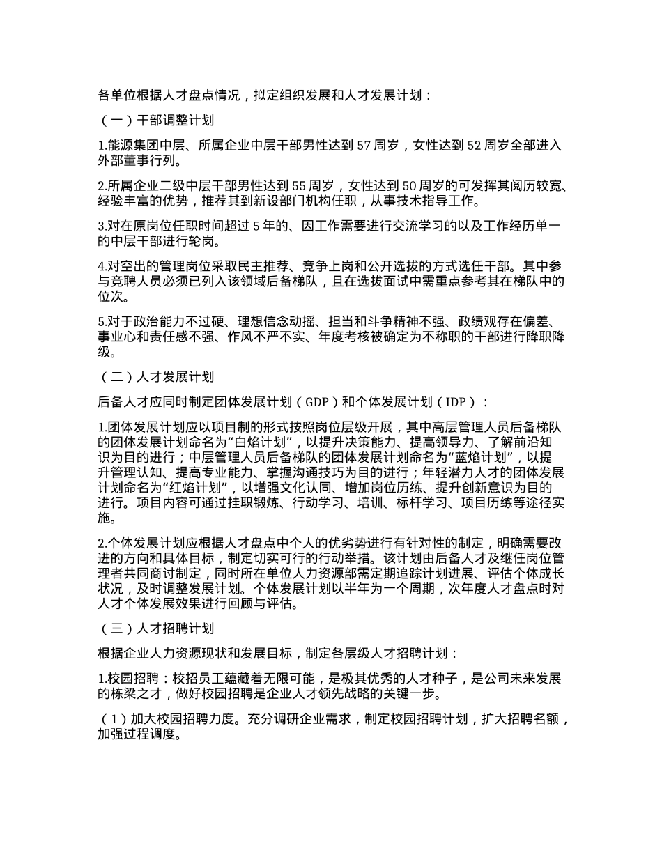 某能源国企人才发展规划(1).docx_第3页