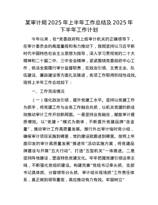 某审计局2025年上半年工作总结及2025年下半年工作计划.docx