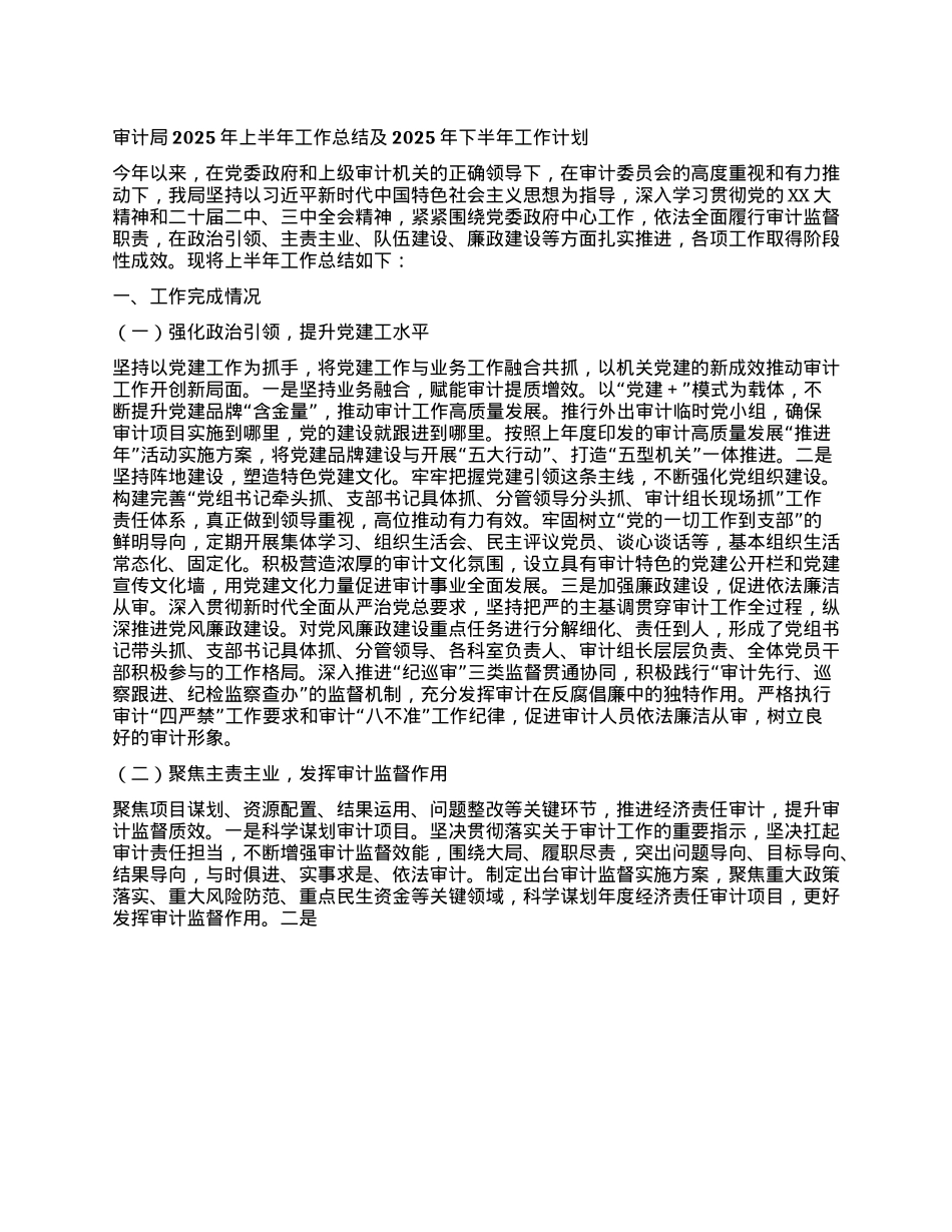 审计局2025年上半年工作总结及2025年下半年工作计划.docx_第1页