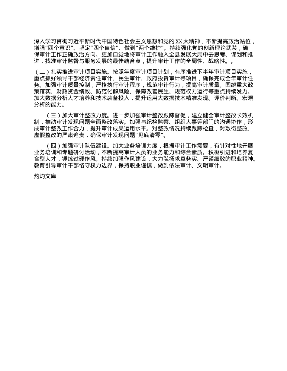 审计局2025年上半年工作总结及2025年下半年工作计划.docx_第3页