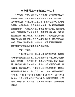 市审计局上半年X建工作总结.docx