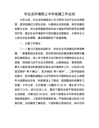 市生态环境局上半年X建工作总结.docx