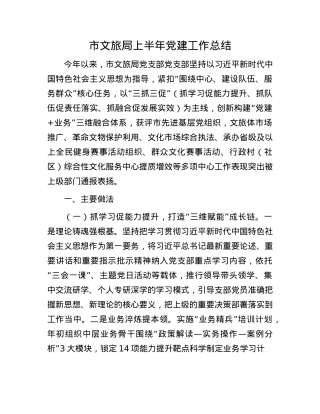 市文旅局上半年X建工作总结.docx
