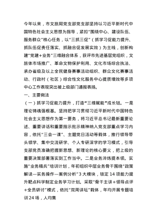 市文旅局上半年党建工作总结.docx