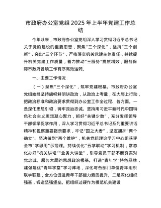 市政府办公室X组2025年上半年X建工作总结.docx