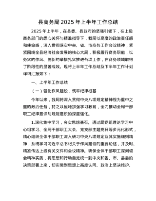 县商务局2025年上半年工作总结.docx