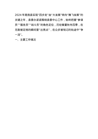 县委办公室2024年度工作总结(1).docx