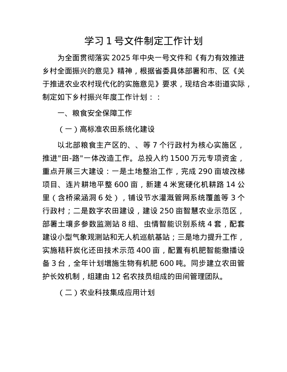 学习1号文件制定工作计划.docx_第1页