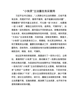 “小快灵”立法重在务实管用.docx