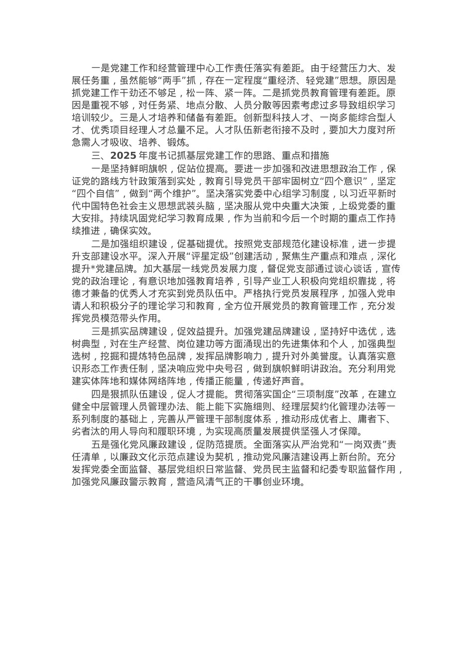 2024年度书记抓基层党建述职报告.docx_第2页