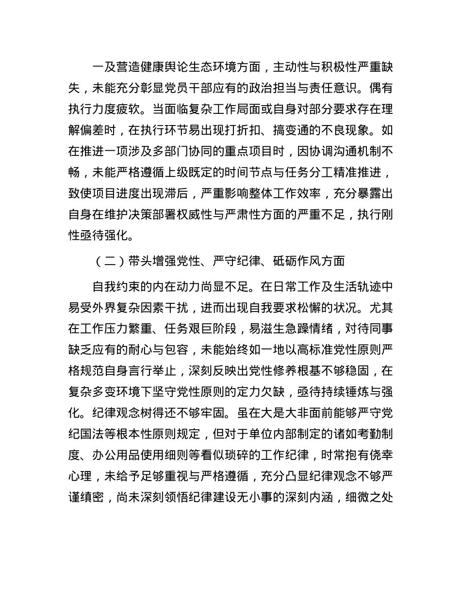 2024年度专题民主生活会对照检查材料（四个带头）(1).docx_第2页
