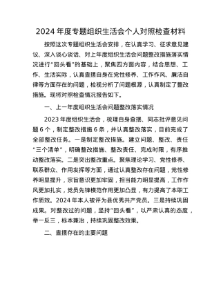 2024年度专题组织生活会个人对照检查材料.docx