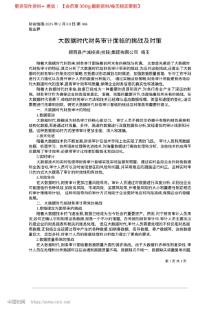 2025.02大数据时代财务审计面临的挑战及对策_肥西县产城投资控股集团有限公司__杨王.docx