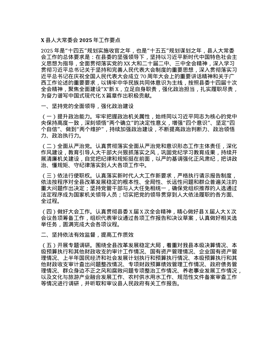 X县人大常委会2025年工作要点.docx_第1页