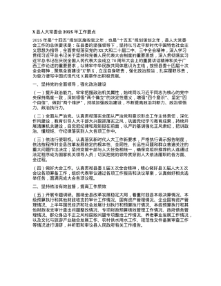 X县人大常委会2025年工作要点.docx