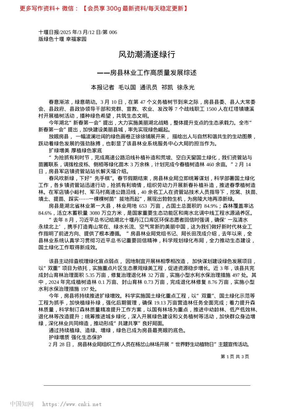 2025.03风劲潮涌逐绿行_本报记者__毛以国__通讯员__祁凯__徐永光.docx_第1页