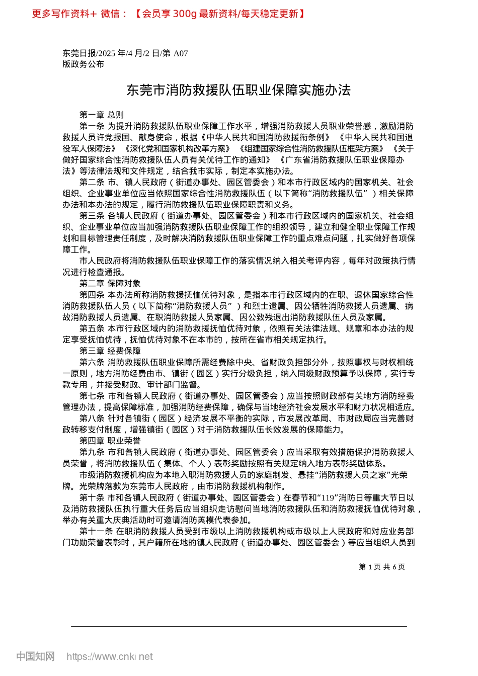 2025.04东莞市消防救援队伍职业保障实施办法.docx_第1页