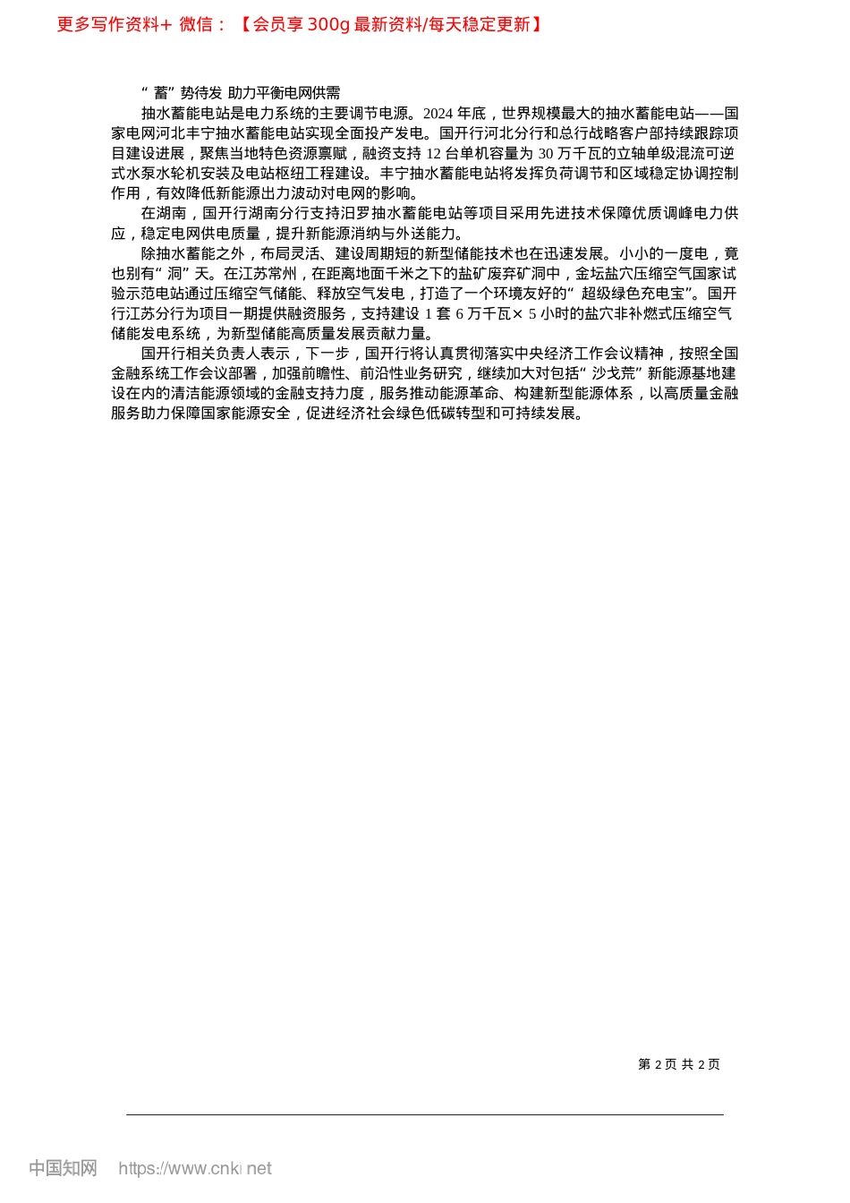 2025.03国家开发银行:加大融资支持__助力构建新型能源体系_本报记者__左希.docx_第2页