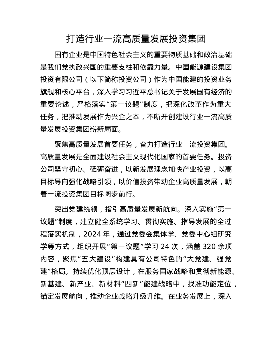 打造行业一流高质量发展投资集团.docx_第1页