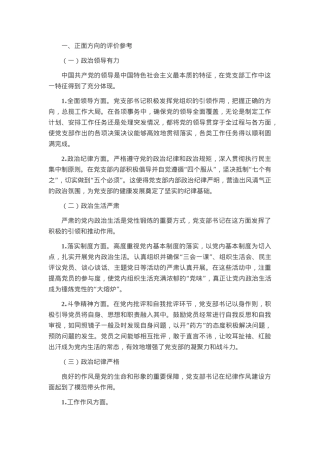 党支部书记“政治画像”评价材料.docx