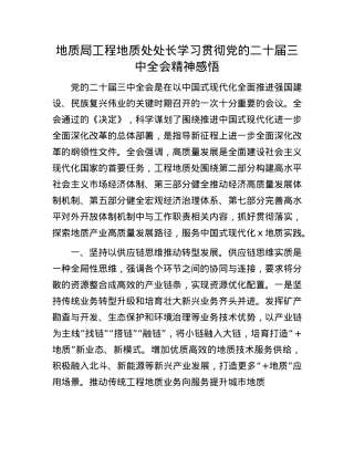 地质局工程地质处处长学习贯彻X的二十届三中全会精神感悟.docx