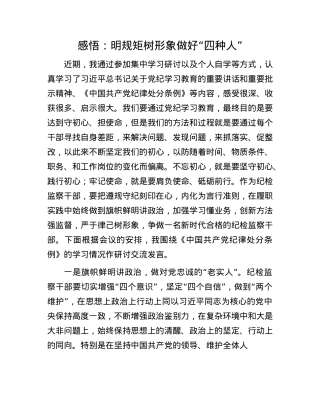 感悟：明规矩   树形象   做好“四种人”.docx