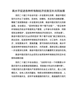 高水平促进各种所有制经济优势互补共同发展.docx