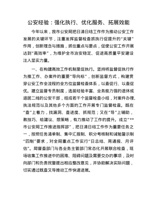 公安经验：强化执行、优化服务、拓展效能.docx