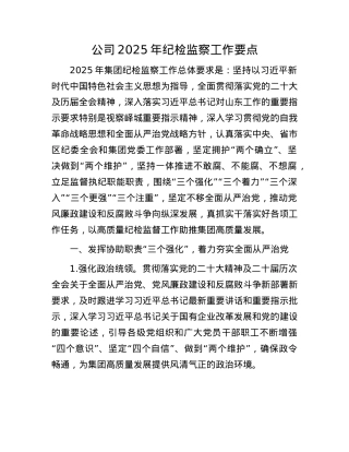 公司2025年纪检监察工作要点.docx