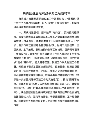 共青团基层组织改革典型经验材料.docx