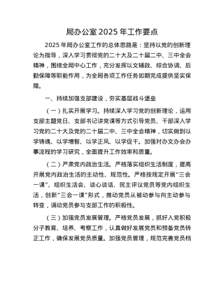 局办公室2025年工作要点.docx